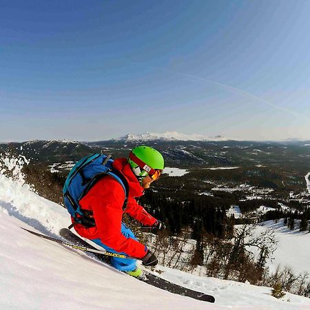 Eriks Villa Funäsdalen Dış mekan fotoğraf